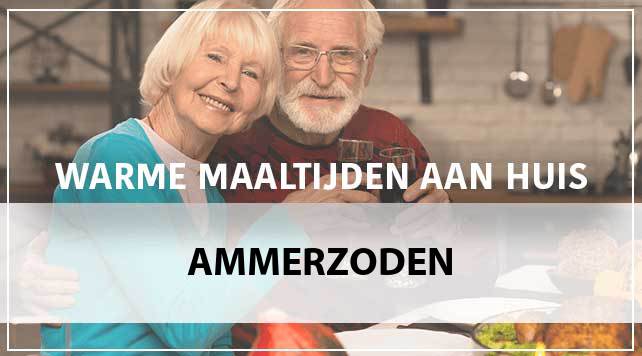 maaltijden-aan-huis-ammerzoden