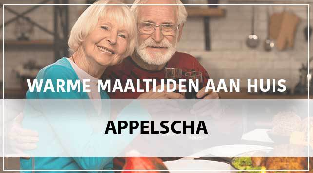 maaltijden-aan-huis-appelscha